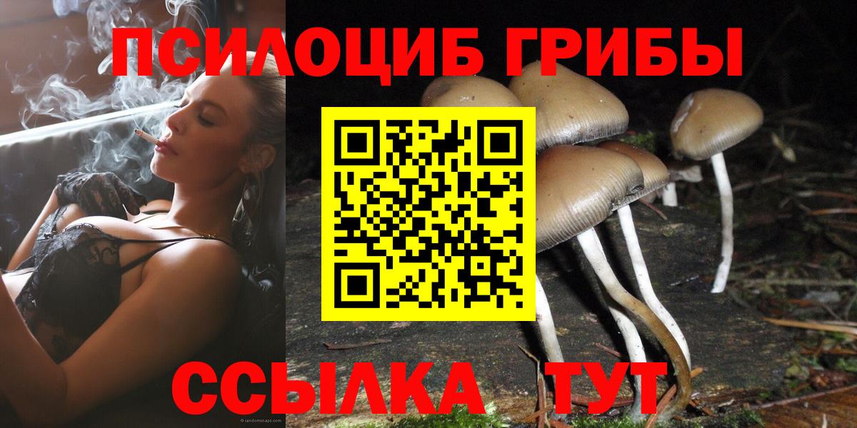 Псилоцибиновые грибы Cubensis Щёлково